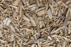 biomass boilers Walnut Tree